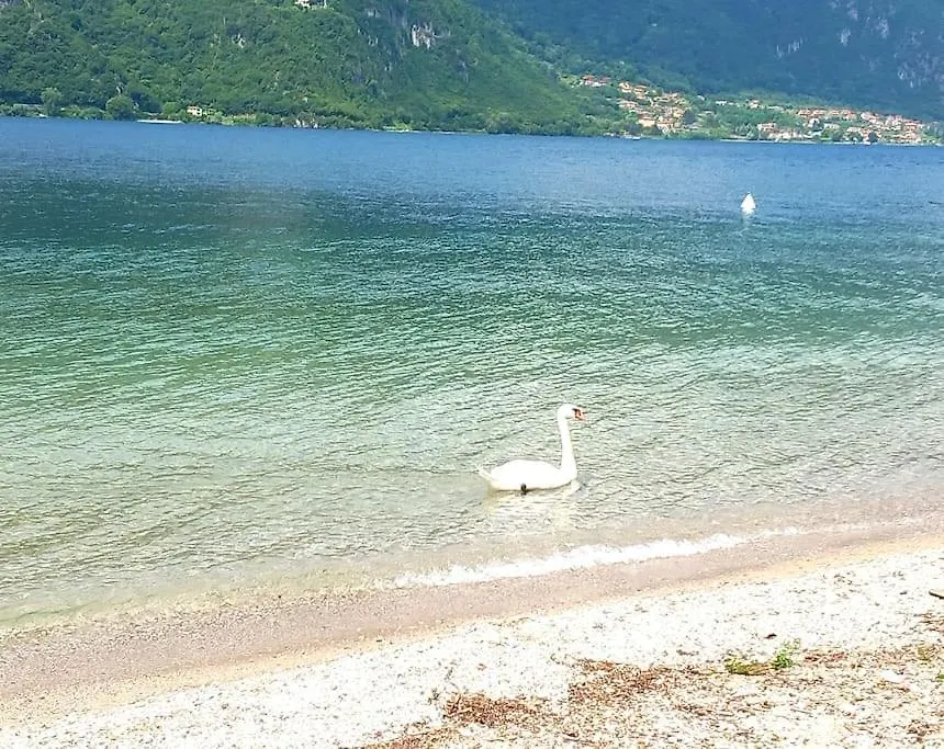 Ca' Del Borgo Apartment Abbadia Lariana